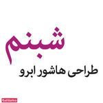 طراحی و هاشور ابرو شبنم