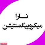 میکروپیگمنتیشن نارا